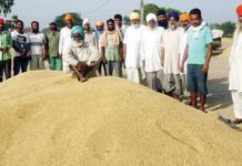 ਡਿਪਟੀ ਕਮਿਸ਼ਨਰ ਵੱਲੋਂ ਝੋਨੇ ਦੀ ਖਰੀਦ ਤੇ ਚੁਕਾਈ ਵਿੱਚ ਤੇਜ਼ੀ ਲਿਆਉਣ ਦੇ ਹੁਕਮ