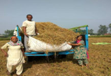 ਪੰਜਾਬ ਸਰਕਾਰ ਵੱਲੋਂ ਪਰਾਲੀ ਸਾੜਨ ਦੀ ਸਮੱਸਿਆ ਨਾਲ ਨਿਪਟਣ ਲਈ 8000 ਪਿੰਡਾਂ ਵਿੱਚ ਨੋਡਲ ਅਫਸਰ ਨਿਯੁਕਤ ਕਰਨ ਦਾ ਫੈਸਲਾ