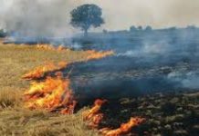 ਕੈਪਟਨ ਅਮਰਿੰਦਰ ਸਿੰਘ ਨੇ ਪ੍ਰਧਾਨ ਮੰਤਰੀ ਨੂੰ ਲਿਖਿਆ ਭਾਵੁਕ ਪੱਤਰ