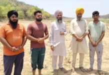 ਪੜਛ ਡੈਮ ‘ਚ ਪਾਣੀ ਬਿਨਾਂ ਮਰ ਰਹੇ ਨੇ ਜਾਨਵਰ, ਪ੍ਰਸ਼ਾਸਨ ਬੇਖ਼ਬਰ, ਪ੍ਰਭ ਆਸਰਾ ਤੇ ਲੋਕ ਹਿੱਤ ਮਿਸ਼ਨ ਦੀ ਟੀਮ ਮੌਕੇ ਤੇ ਪੁੱਜੀ